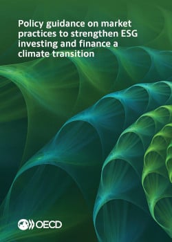 Cover - Policy guidance on market practices to strengthen ESG investing and finance a climate transition